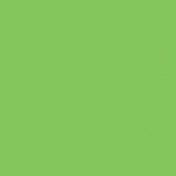 Gam  Plus Green Cine Filter (20x24" Sheet)