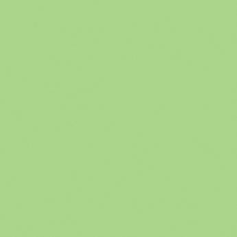 Gam 1/2 Plus Green Cine Filter (20x24" Sheet)