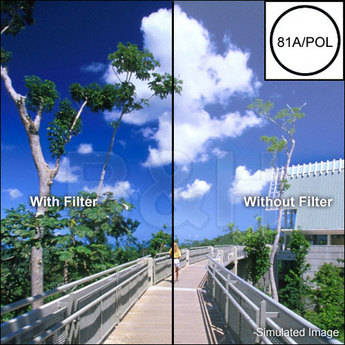 B+W 62mm Warm Circular Polarizer 81A Glass Filter