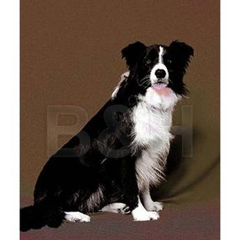 Backdrop-Alley 58x120" Velour Backdrop - Brown