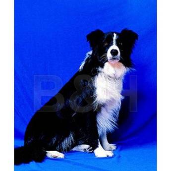 Backdrop-Alley 58x120" Velour Backdrop - Studio Blue