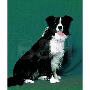 Backdrop-Alley 58x120" Velour Backdrop - Hunter Green