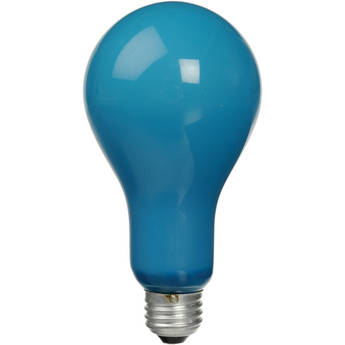 General Brand BCA Lamp - 250 Watts/120 Volts - 4800 Degrees K
