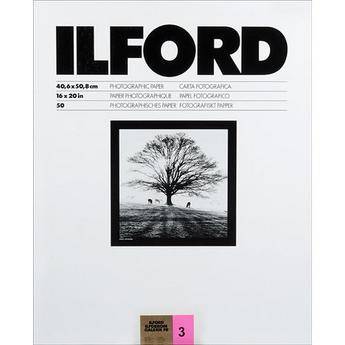 Ilford Ilfobrom Galerie FB DW 16x20/50 #3 Glossy