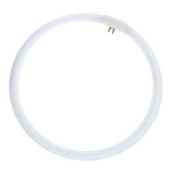 MK Digital Direct Halogen Light for Top of THE BOX