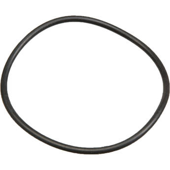 Ikelite O-Ring for DS-125 Battery Door