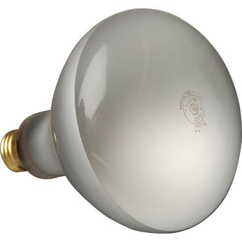 Altman 300 Watt, 120 Volt Flood Lamp