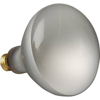 Altman 300 Watt, 120 Volt Spot Lamp