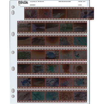 Print File Archival Storage Page for Negatives, 35mm - 100 Pack