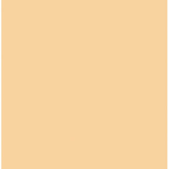Rosco #3442 Filter - 1/2 Straw CTS - 20x24"