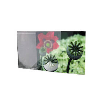 Archival Methods Film and Print Sleeve for 2-1/4 Film (50 Pack)