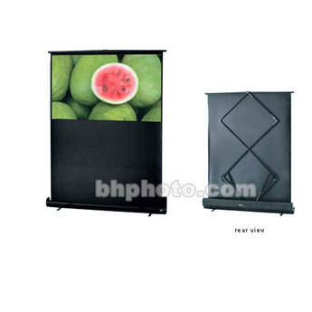 Toshiba Roadwarrior Adjustable Portable Projection Screen -41-69.25 x 49.5"