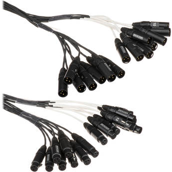 Whirlwind Medusa Multitrack 16 Channel XLR Male to XLR Female Snake - 10'
