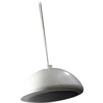 RBH HS615 Commercial Hanging Speaker