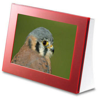 AG Neovo V-10 7" FotoVivo Digital Picture Frame (Red)