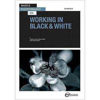 Amphoto Book: Basics Photography: Working in Black & White by David Prakel 