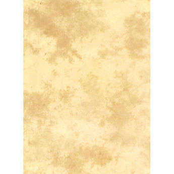 Lastolite Knitted Background - 10x12' (Arizona)