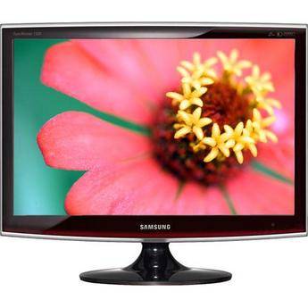 22" Widescreen LCD Monitor