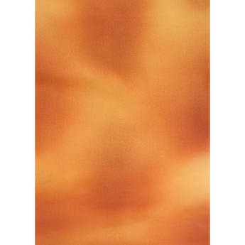 Botero #039 Rotary System Background 5x7' Yellow, Orange Sienna