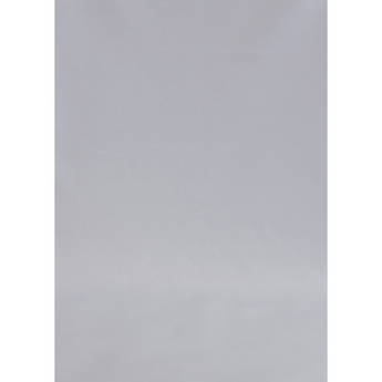 Botero #049 Rotary System Background 5x7' Slate Gray
