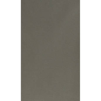 Botero #051 Muslin Background (10x24', #51)