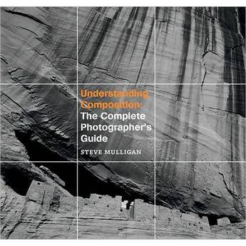 Sterling Publishing Book: Understanding Composition by Steve Mulligan