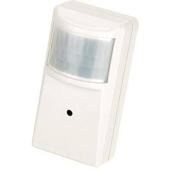 ARM Electronics C520PIR Color Covert PIR Camera with 3.7mm Pinhole Lens
