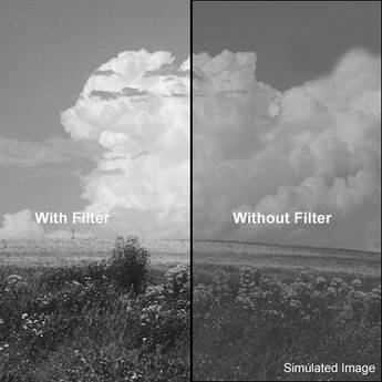 B+W 62 mm 061 Dark Green Glass Filter 