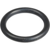 Ikelite O-Ring (Replacement)