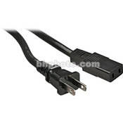 Roland 2P-AC1 - 2-Prong Audio Keyboard Power Supplies