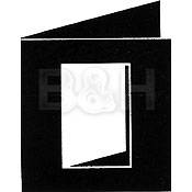 Panodia Transparency Mount- 100 Pack