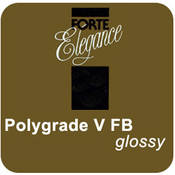 Forte Polygrade V FB DW 20x24/10 Glossy