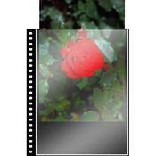 Prat / Start Cristal Laser Sheet Protectors - 8.5 x 11" - Ten Pack