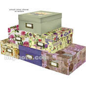Pioneer Photo Albums Deluxe Photo Storage Box (Designer Patterns)
