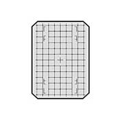 Beattie Intenscreen with 1 cm Grid Lines