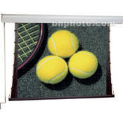 Draper 201060 Silhouette/Series C Manual Projection Screen (96 x 96