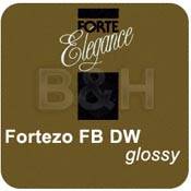 Forte Fortezo FB DW 16x20/10 #4 Glossy