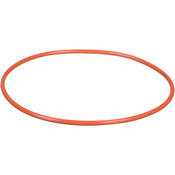 Ikelite 0109 O-Ring (Replacement)