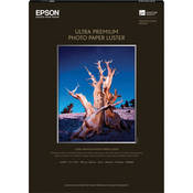 Epson Ultra Premium Luster Photo Paper - 11.7x16.5" - 50 Sheets