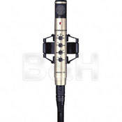 Sennheiser MKH-800 - (P48) Multi-Pattern Mic