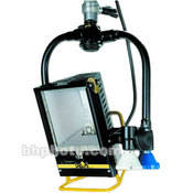 DeSisti Renoir Broadlight - 300-650 Watts - Hanging, Pole