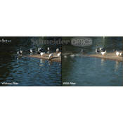 B+W 105 mm #101 Neutral Density (ND) 0.3 Multi-Coated (MC) Slim  Glass Filter
