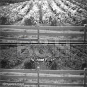B+W 28mm 093 (87C) Infrared    Glass Filter