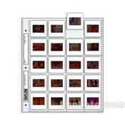 ClearFile Archival Plus Slide Page w/ Printed Data Panel, 35mm - 10 Pack