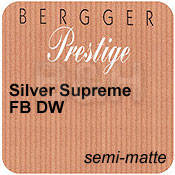 Bergger Fine-Art FB/DW 20x24/10 Silver Supreme #2