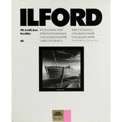 Ilford Ilfobrom Galerie FB DW 16x20/50 #2 Glossy