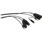 Canare BACX25 Cable for Portable Mixers  - 25