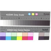 Kodak Color Separation Guide and Gray Scale-Small (Q-13)