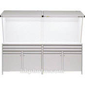 GTI CVX-2DSSC2F Color Viewing Station with Dual Lights/Cabinet/Drawers
