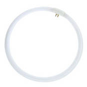 MK Digital Direct Halogen Light for Top of THE BOX